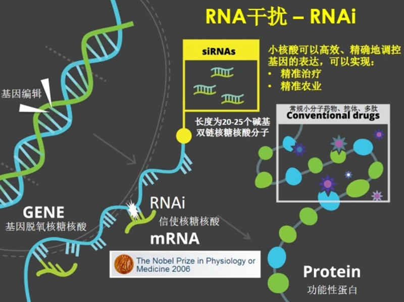 RNA生物農藥（yào）商業化及發（fā）展趨勢(圖1)