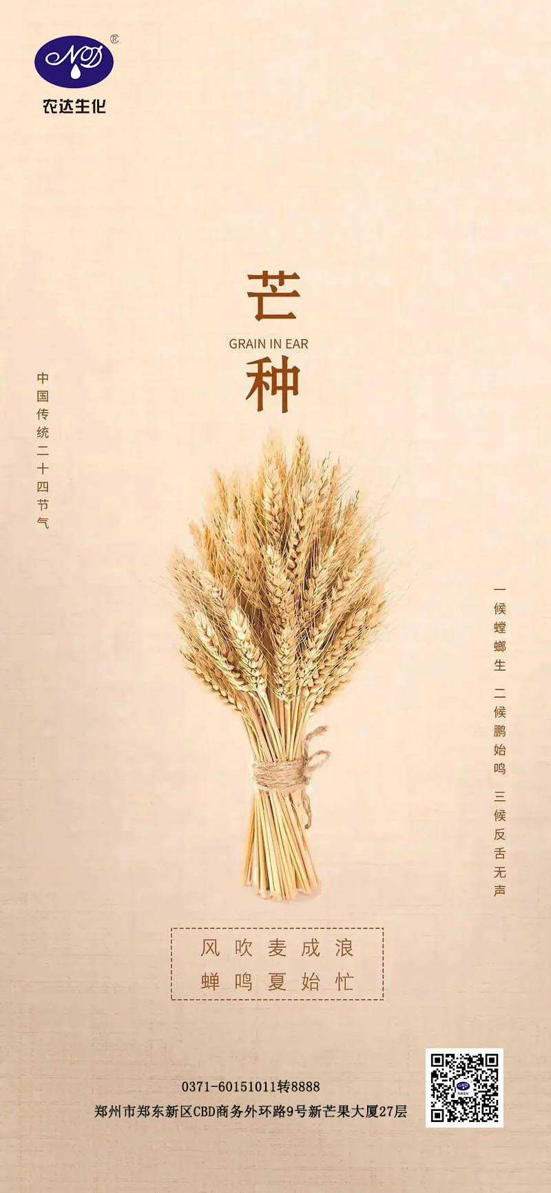 芒種節氣（qì）(圖1)