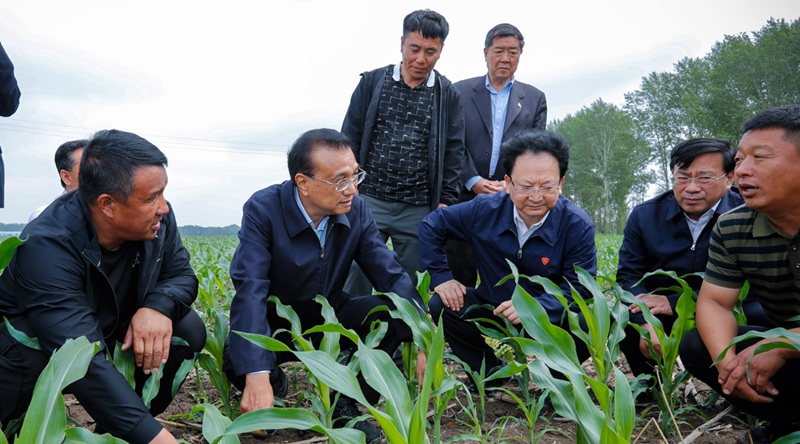 重磅！農資（zī）上漲不要怕，補貼來了！(圖1)